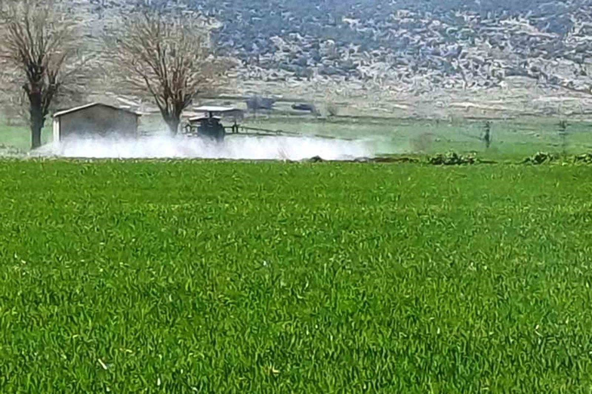 Araban’da Sarı Pas Hastalığına Karşı İlaçlı Mücadele Başlatıldı