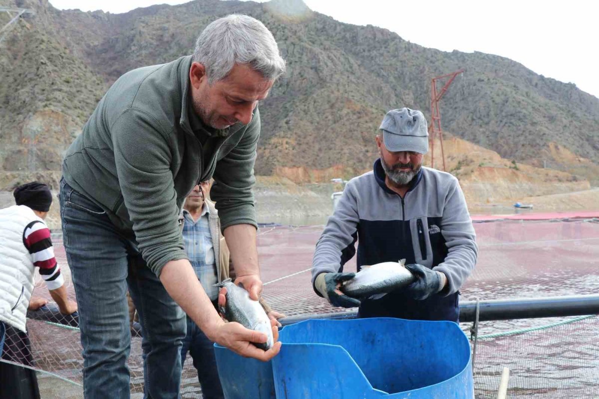 Denizi Olmayan Erzurum’da 300 Ton Balık Üretiliyor