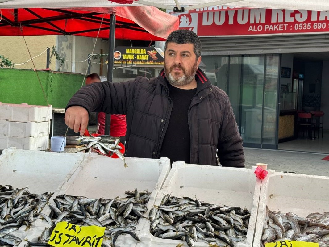 Zonguldak’ta İstavrit Bolluğu: Kilosu 100 Lira