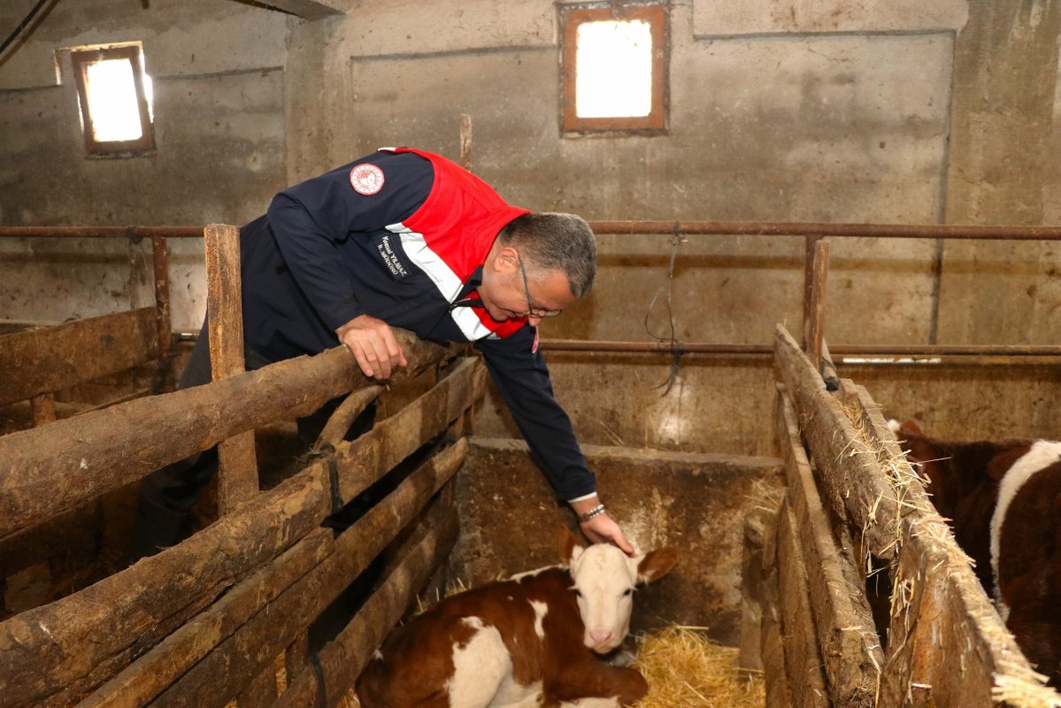 Samsun’da Ari İşletme Sayısı Artıyor