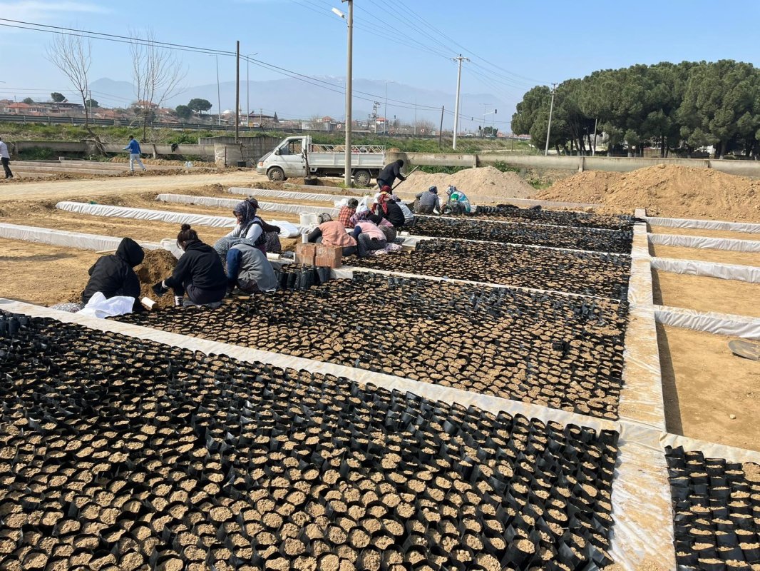 Sarıgöl’de İki Kardeşten Üzüm Fidanında Büyük Başarı