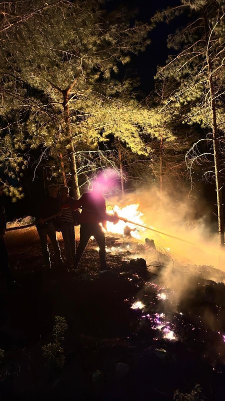 Hatay’da Orman Yangını Büyümeden Söndürüldü