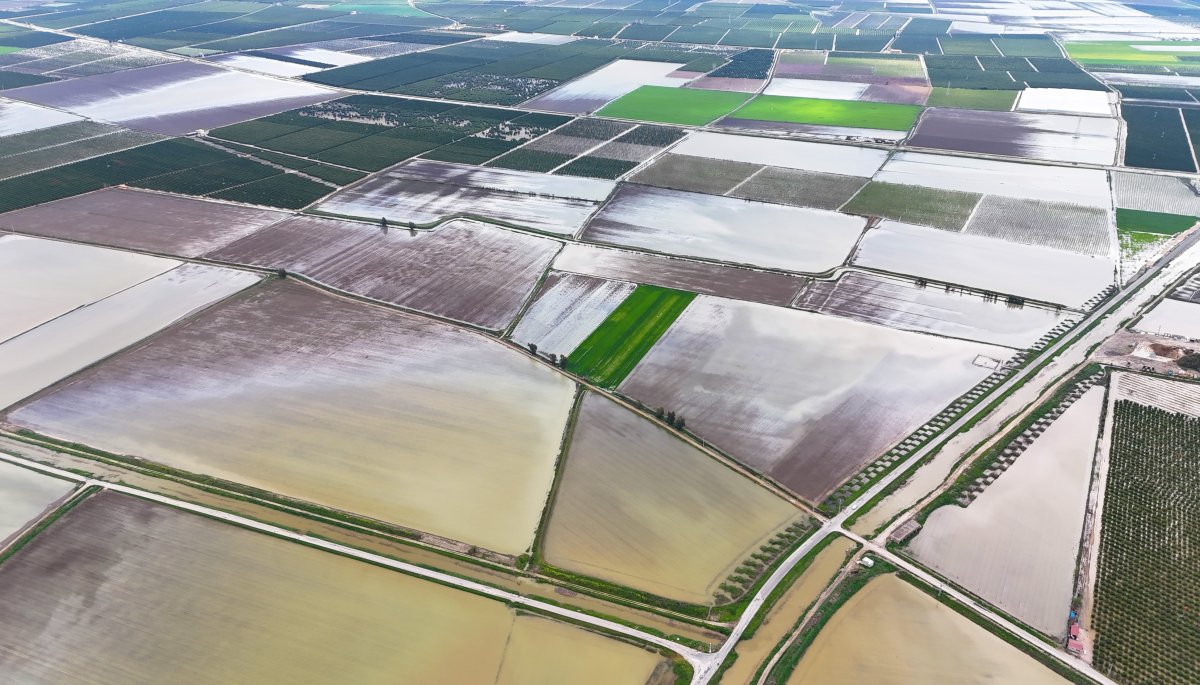 Çukurova’da Sağanak Tarımı Vurdu
