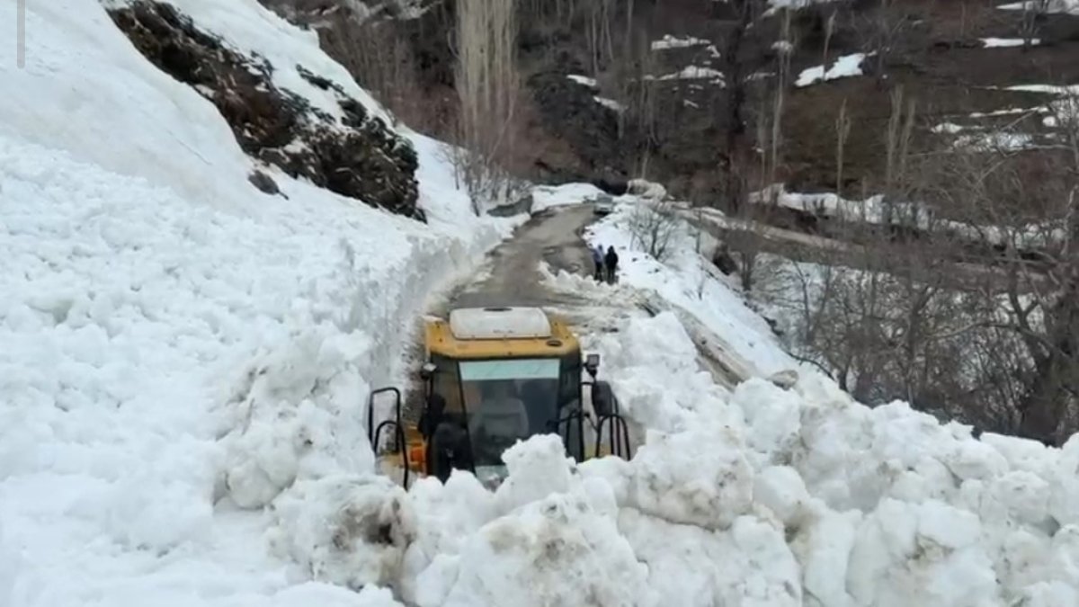 Bahçesaray'da Çığ Düştü: Mahalle Yolu Kapandı