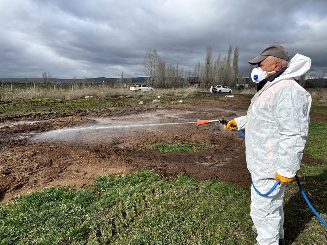Çorum’da Yaz Öncesi Vektörle Mücadele Seferberliği