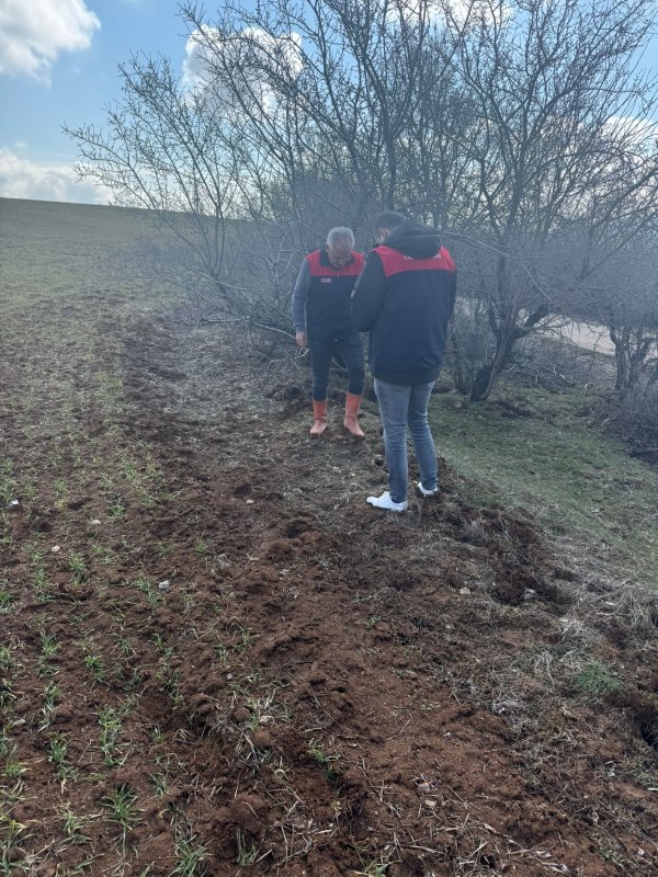 Elazığ’da Tarla Faresine Karşı Sahada Alarm