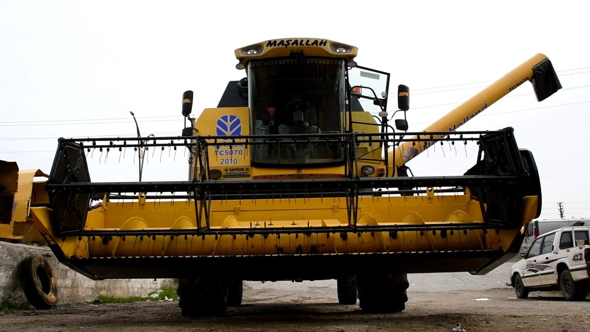 Bozkırın Sarı Devleri Hasada Hazırlanıyor