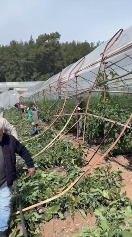 Kumluca’da Hortum Seraları Vurdu: 10 Dönüm Alan Zarar Gördü