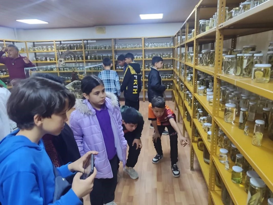 Yenipazarlı Öğrenciler Doğayı Bilimle Keşfetti