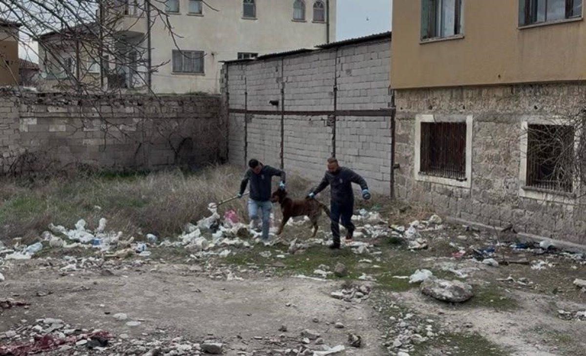 Başıboş Köpek Dehşeti: 3 Yaşındaki Çocuk 3 Ameliyat Geçirdi