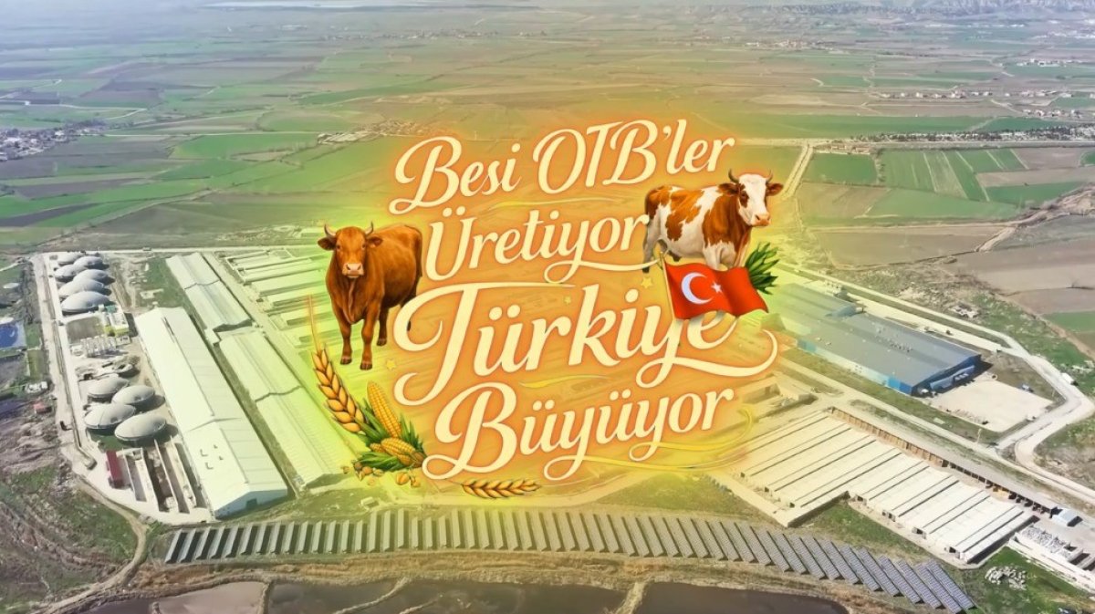 Suluova Besi OTB’de 15 Bin 650 Büyükbaş Kapasite