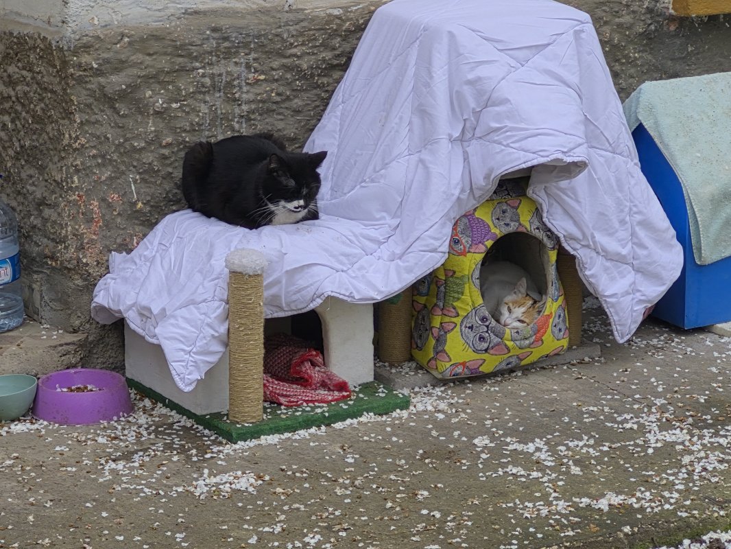 Eskişehir’de Hayvanseverlerden Dikkat Çeken Yazı