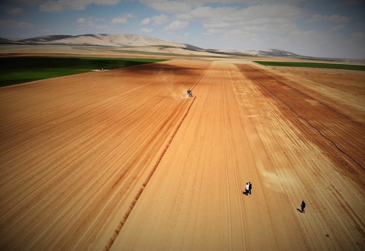 Konya Ovası’nda Yağışlar Rekolte Beklentisini Artırdı