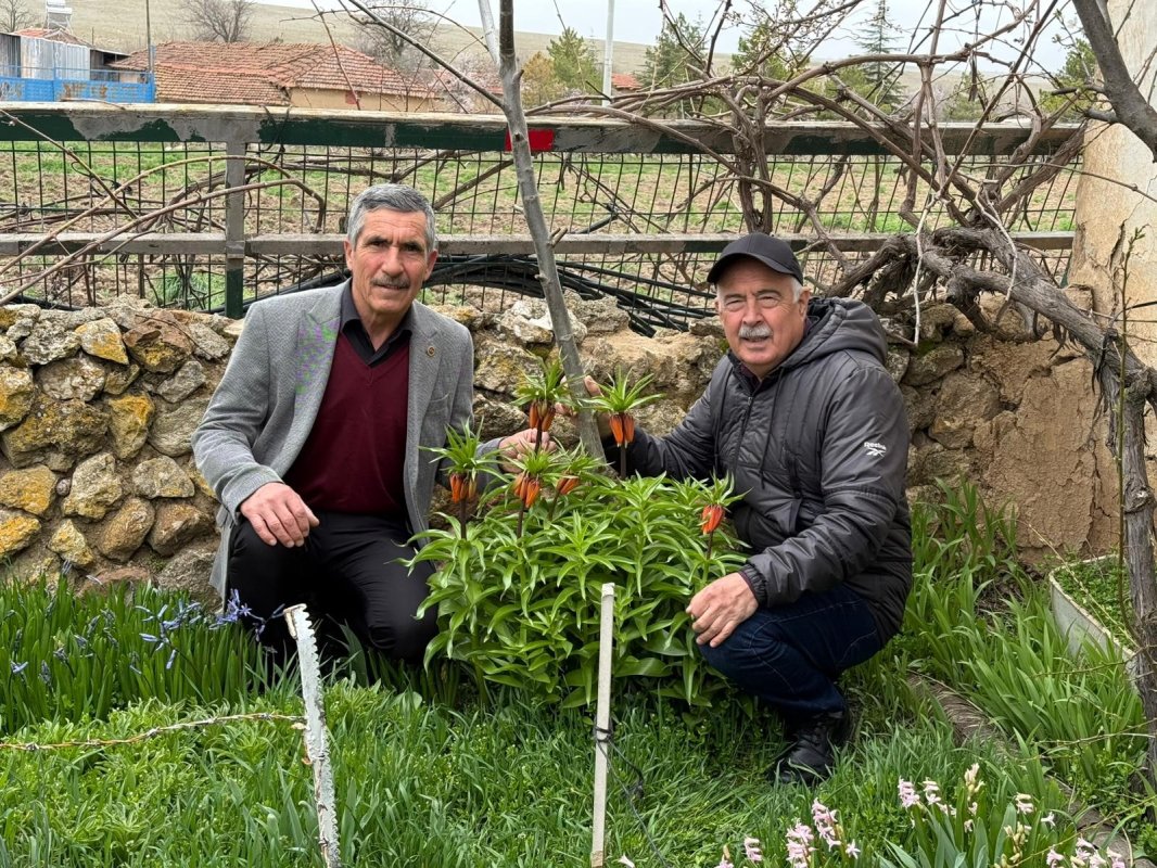 Eskişehir’de doğa mucizesi açtı: Koparana 700 bin TL ceza!