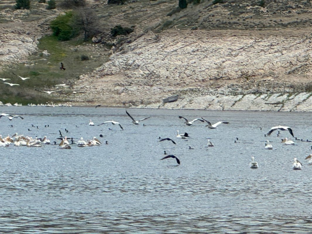 Porsuk Barajı’nda Bahar Manzarası