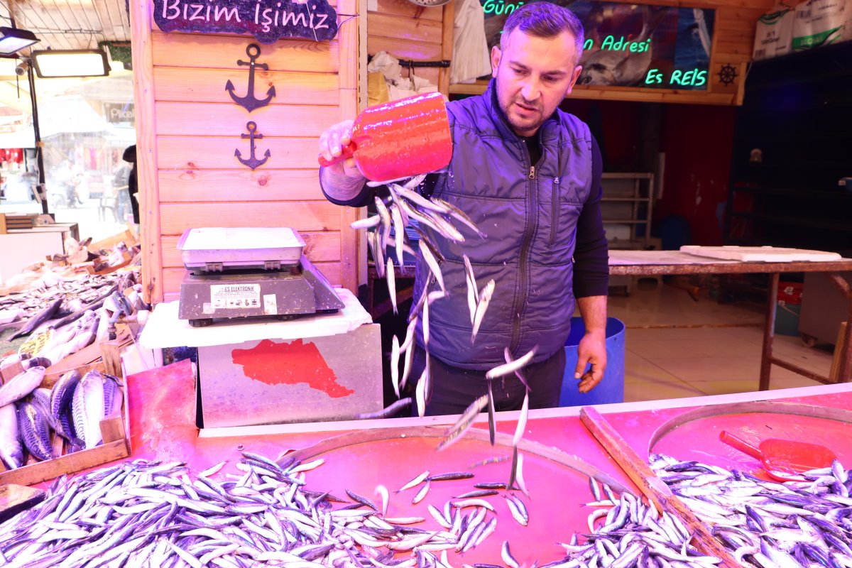 Balıkçılardan “Yasak Var, Balık Yok” Algısına Tepki