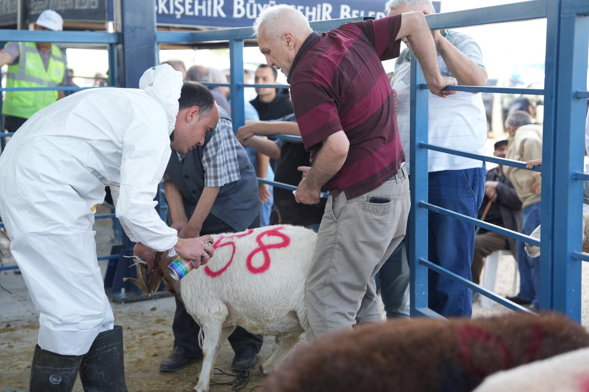 Eskişehir’de Kurban Bayramı İçin Hayvan Pazarı Hazırlıkları Tamamlandı
