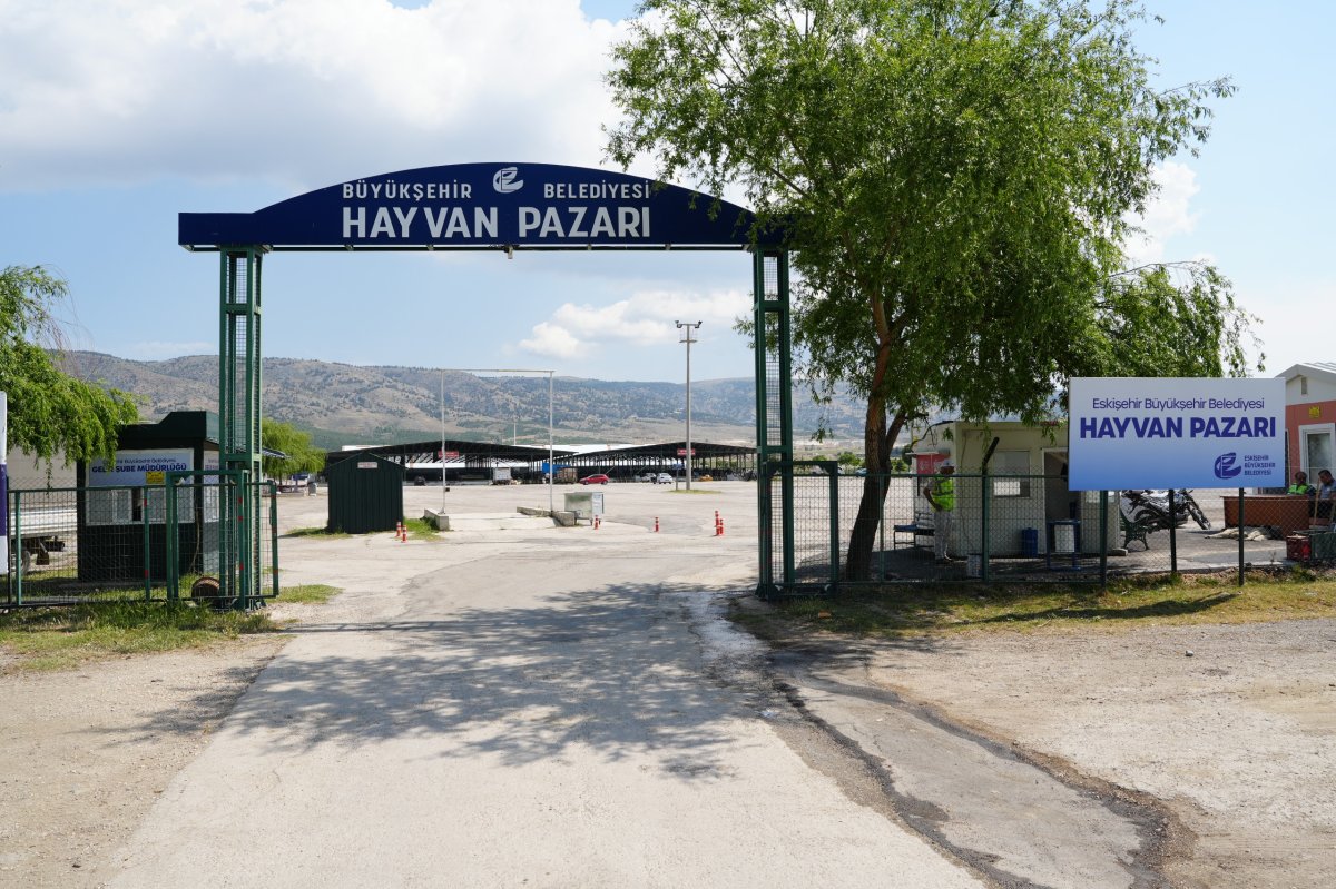 Eskişehir Hayvan Pazarı 11 Mayıs’ta açılıyor: Kurbanlık satışları için geri sayım başladı