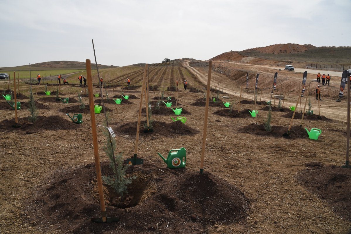 Orman Haftası Etkinlikleri Bayram Nedeniyle 24 Mart’ta Kutlanacak