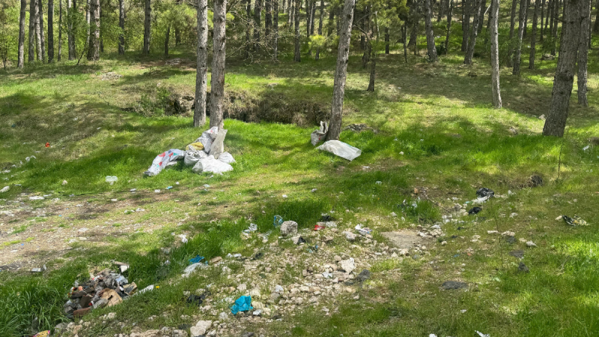 Çatak Bayırı Açıklaması: “Orman Bölge Müdürlüğümüzün Sorumluluğunda Değil”