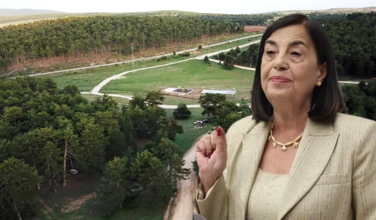 Süllü’den Kalburcu Orman Parkı İhalesine Tepki: Doğa Ranta Açılıyor