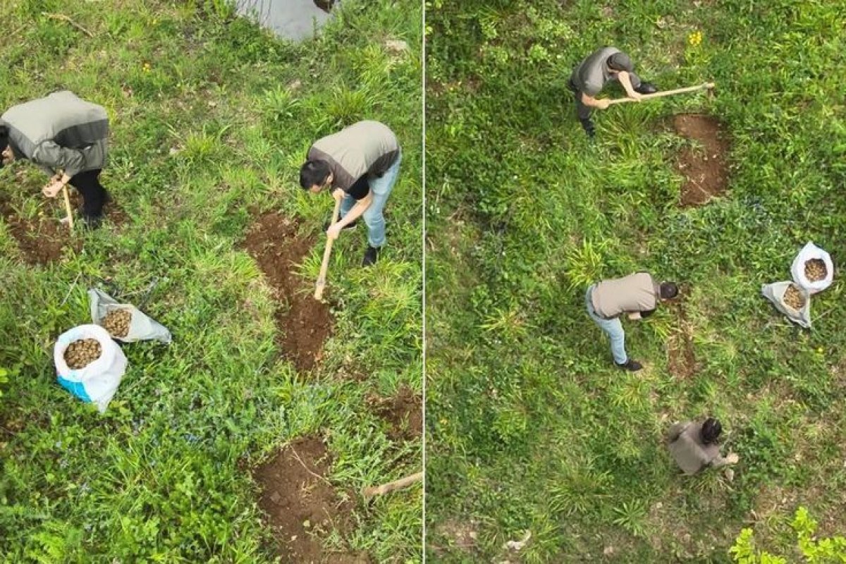 Drone Destekli Denetimde Kaçak Salep Operasyonu