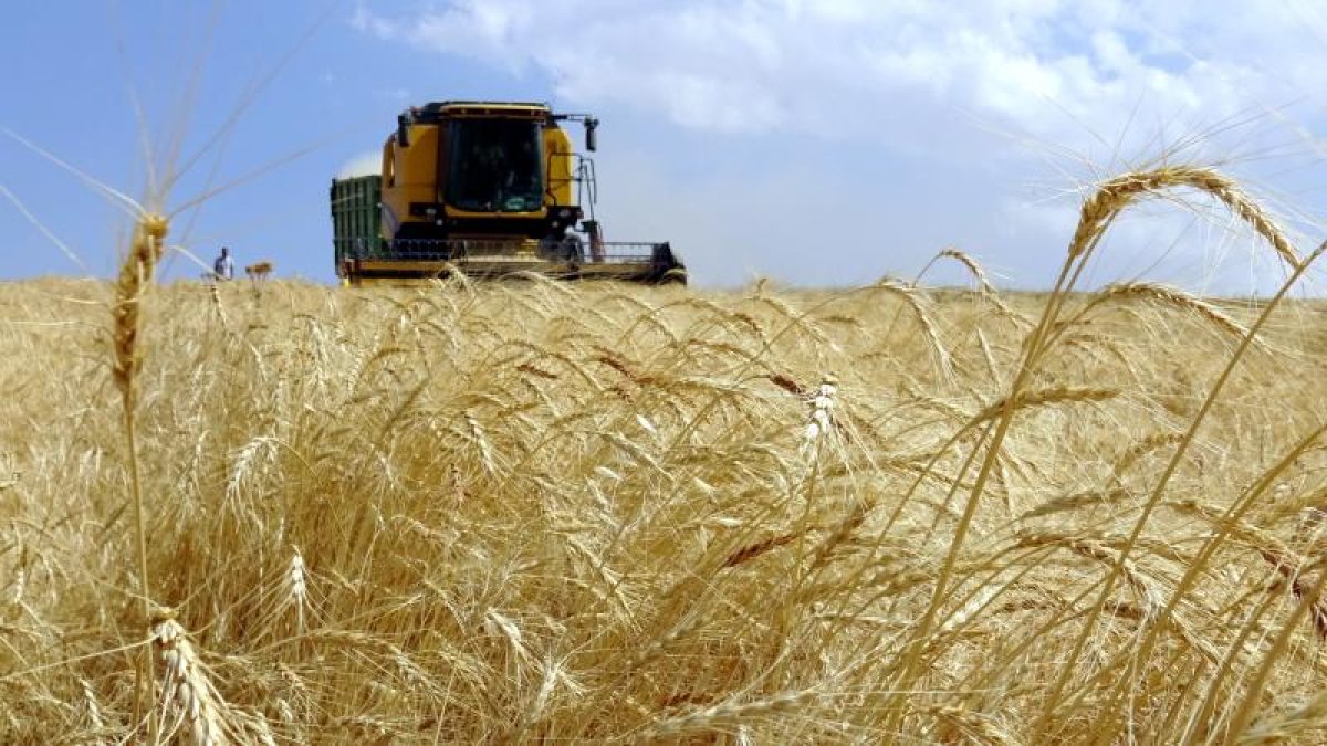 Dev yatırım üretime başladı! 1000 kişiye iş kapısı açılıyor