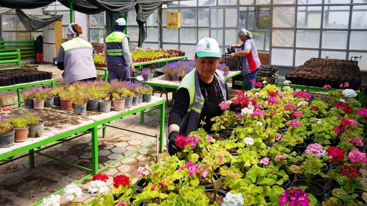 Tepebaşı’nda Üretilen Çiçekler İlçeyi Renklendiriyor