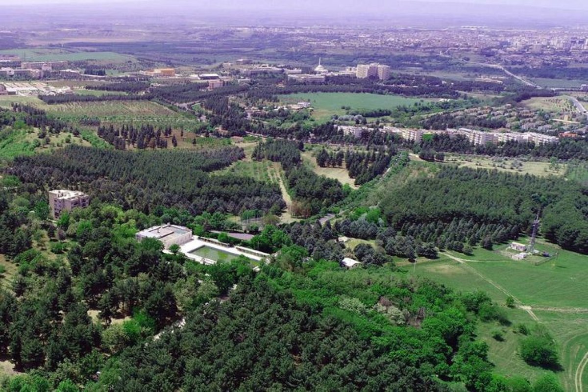 Dicle Üniversitesi Kampüsünde Petrol Bulundu: 6 Sondaj Kuyusu Açılacak